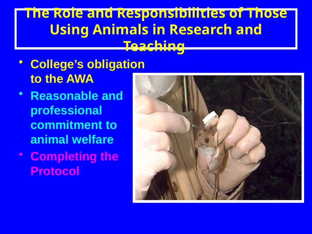 The Role and Responsibilities of Those Using - slide 1 of 14
