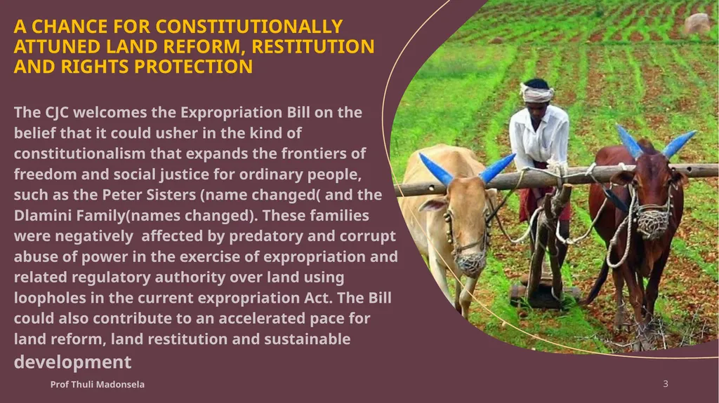 EXPROPRIATION BILL SUBMISSION Presented by Prof - slide 3 of 10