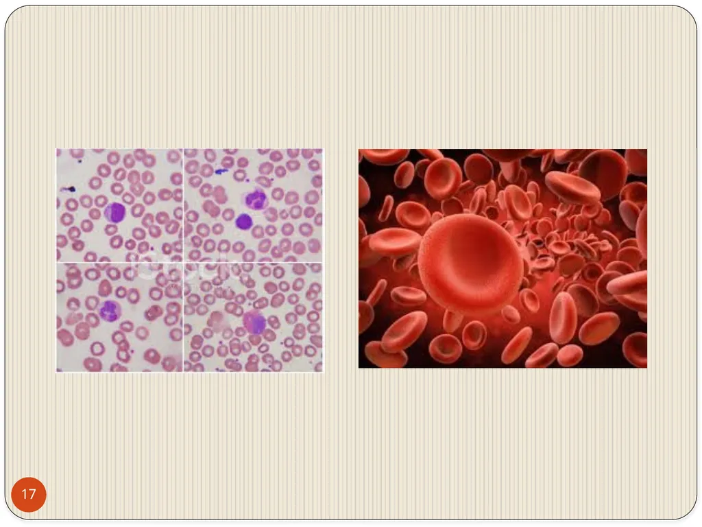 MAHARASHTRA INSTITUTE OF DENTAL SCIENCES AND - slide 17 of 31