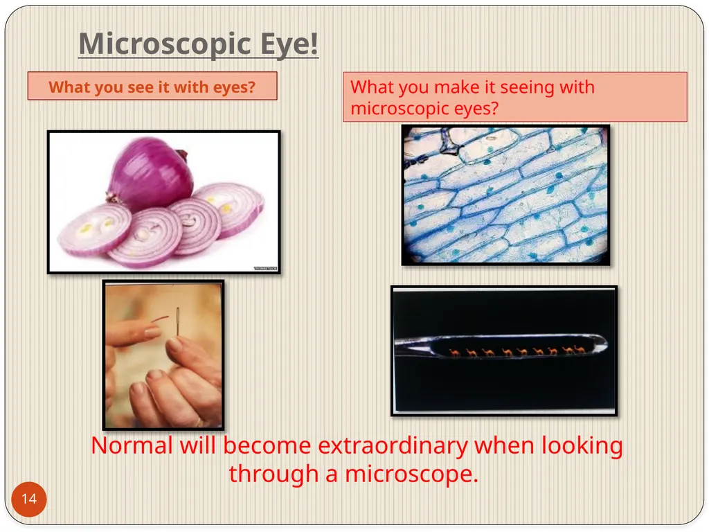 MAHARASHTRA INSTITUTE OF DENTAL SCIENCES AND - slide 14 of 31