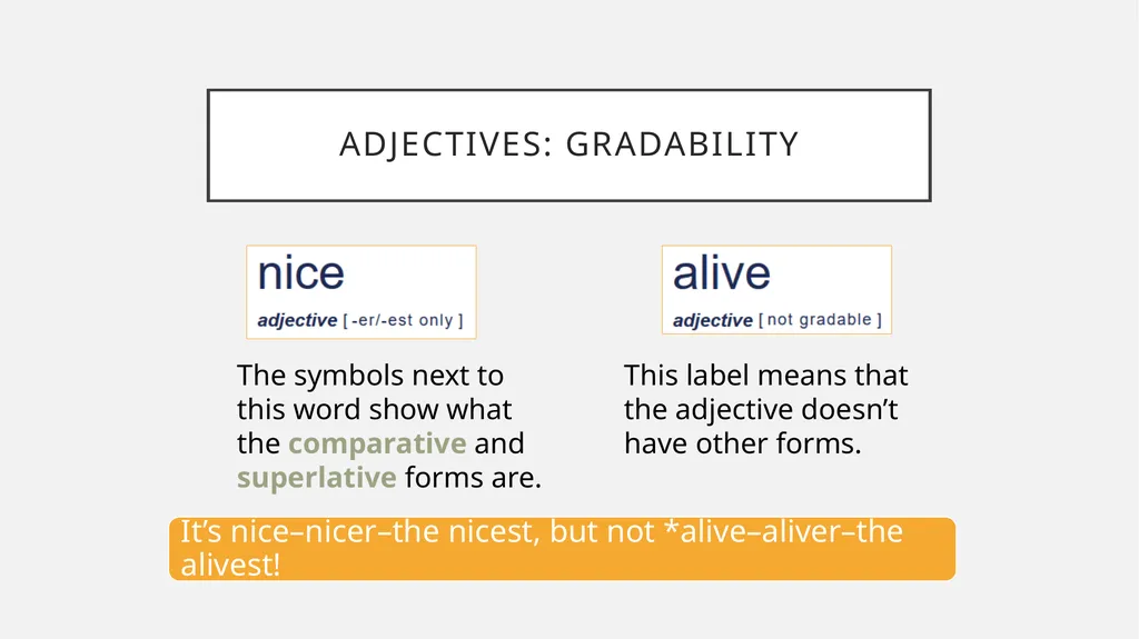 The full package HOW TO *REALLY* USE A DICTIONARY - slide 43 of 46