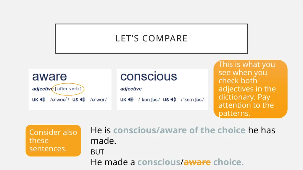 The full package HOW TO *REALLY* USE A DICTIONARY - slide 8 of 46