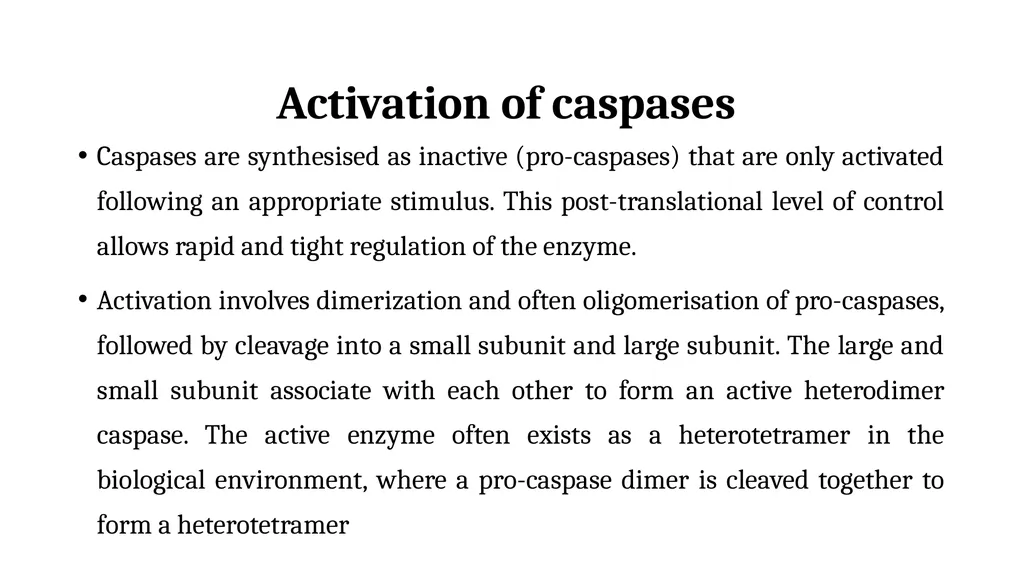 Apoptosis: Intrinsic and Extrinsic Apoptosis - slide 16 of 18