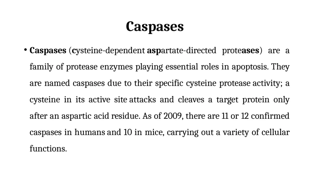 Apoptosis: Intrinsic and Extrinsic Apoptosis - slide 15 of 18