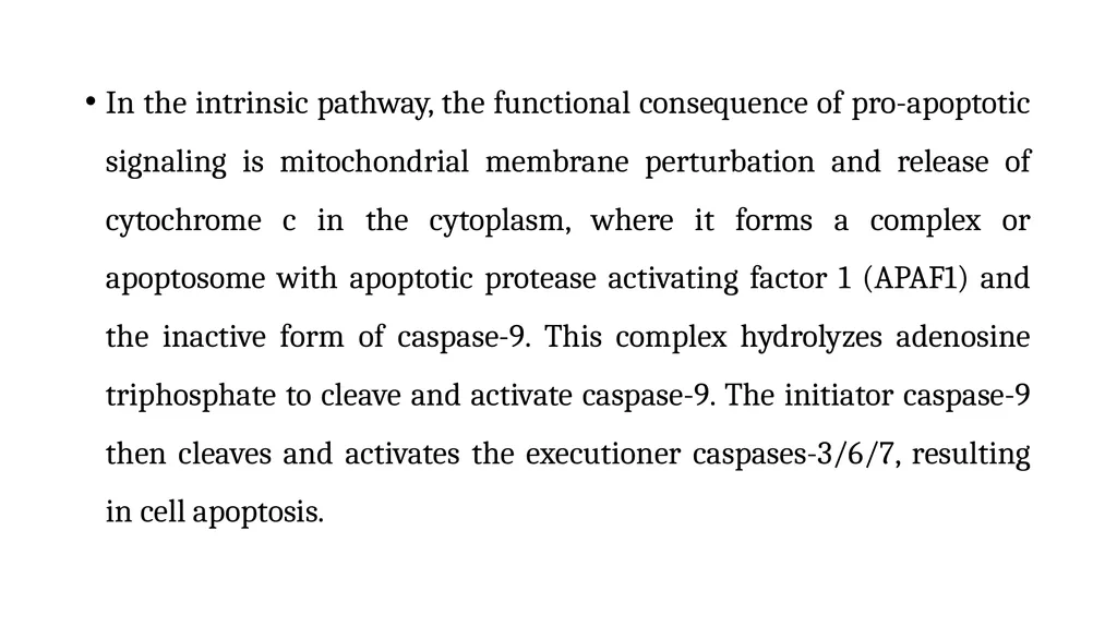 Apoptosis: Intrinsic and Extrinsic Apoptosis - slide 11 of 18