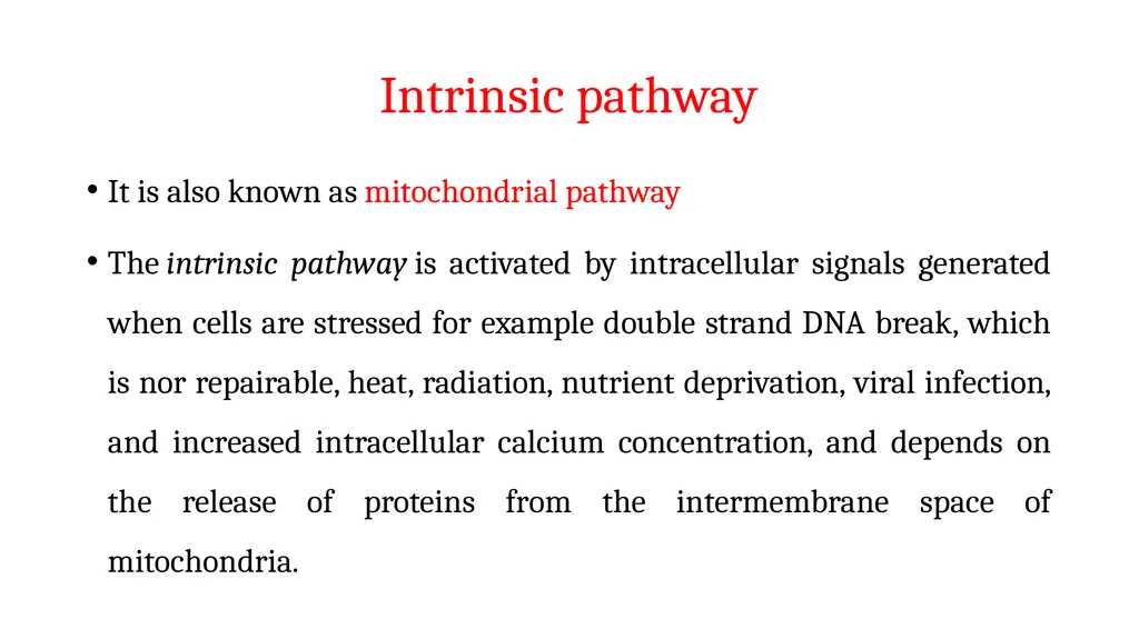 Apoptosis: Intrinsic and Extrinsic Apoptosis - slide 7 of 18