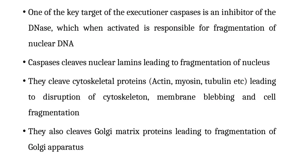 Apoptosis: Intrinsic and Extrinsic Apoptosis - slide 18 of 18