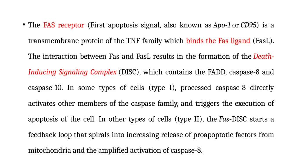 Apoptosis: Intrinsic and Extrinsic Apoptosis - slide 14 of 18