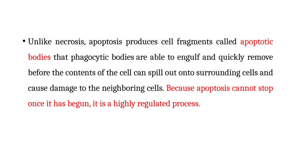 Apoptosis: Intrinsic and Extrinsic Apoptosis - slide 4 of 18