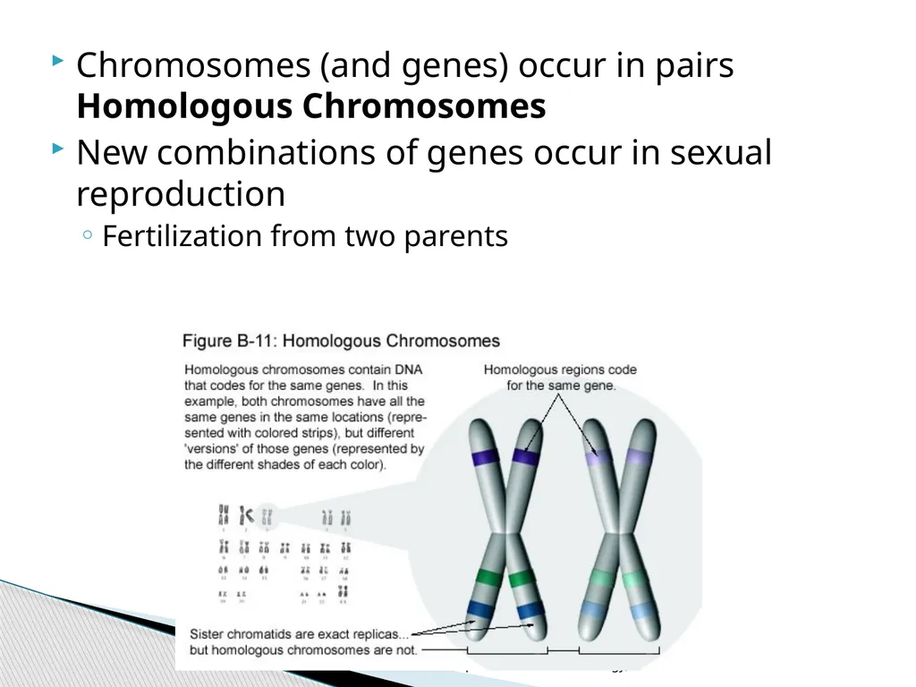 Dr.Umayal Ramanathan College for Women, Karaikudi - slide 4 of 15