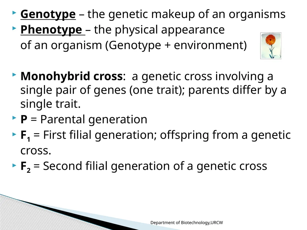 Dr.Umayal Ramanathan College for Women, Karaikudi - slide 7 of 15