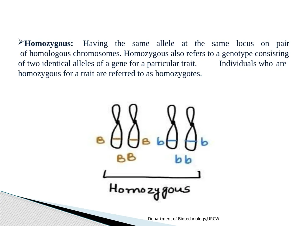 Dr.Umayal Ramanathan College for Women, Karaikudi - slide 9 of 15