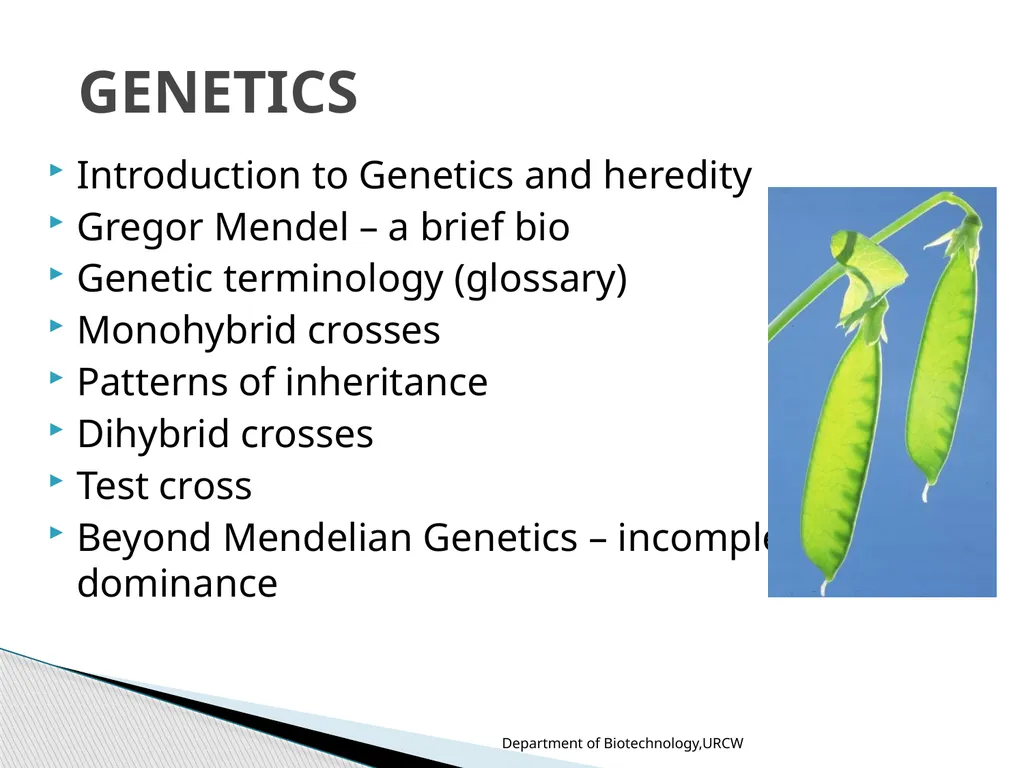 Dr.Umayal Ramanathan College for Women, Karaikudi - slide 2 of 15