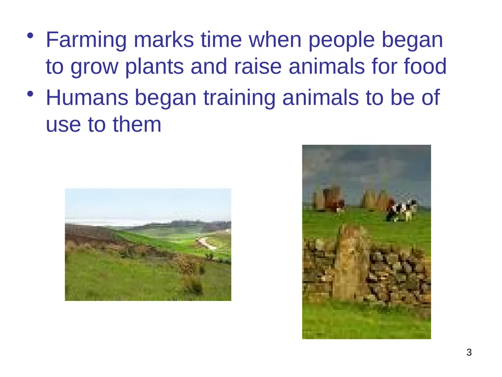 Triad Work – SS7 Next Steps after Early Beginnings - slide 3 of 29