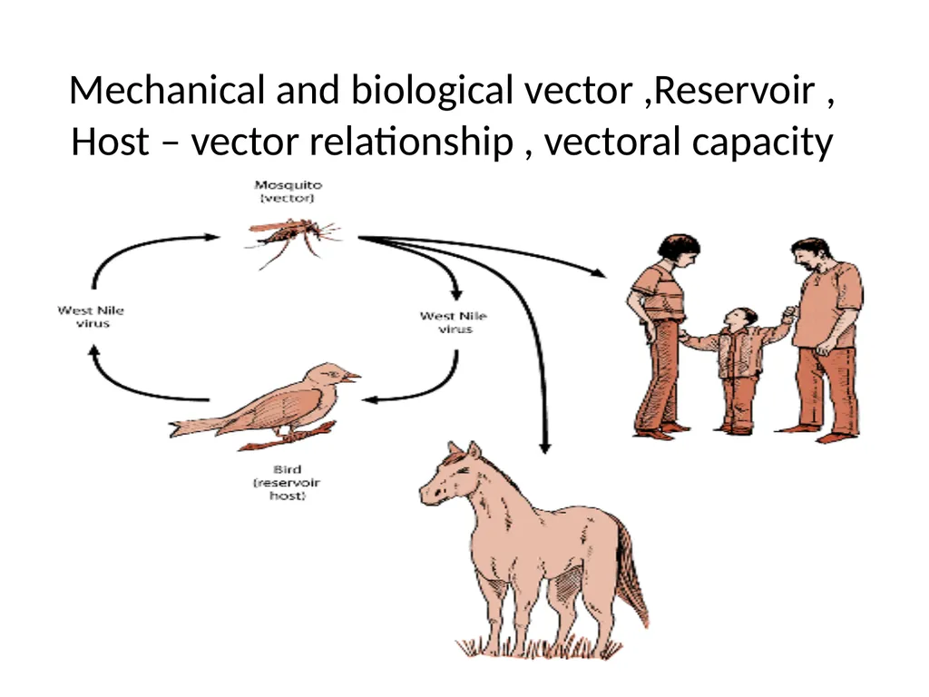 Mechanical and biological vector ,Reservoir , Host