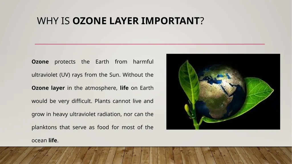 Ozone layer depletion Prepared by anindita - slide 4 of 10