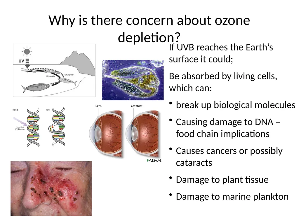 Atmospheric Processes Ozone Depletion Quick recap… - slide 5 of 24
