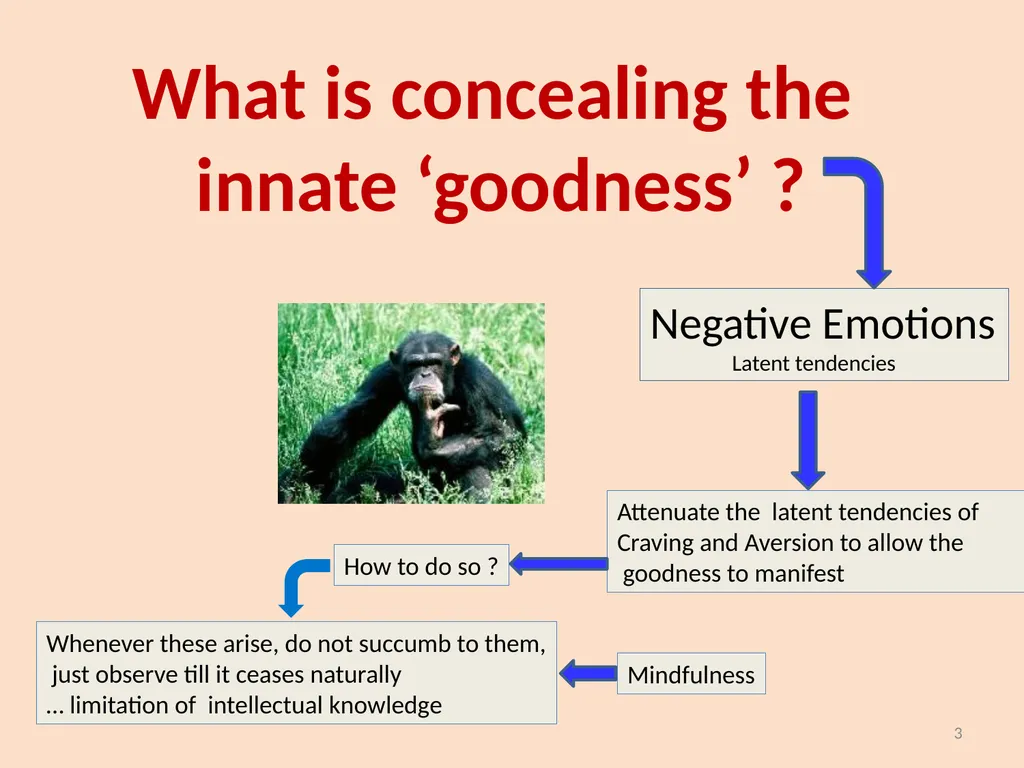 Is there Innate Goodness in human beings ? All - slide 3 of 6