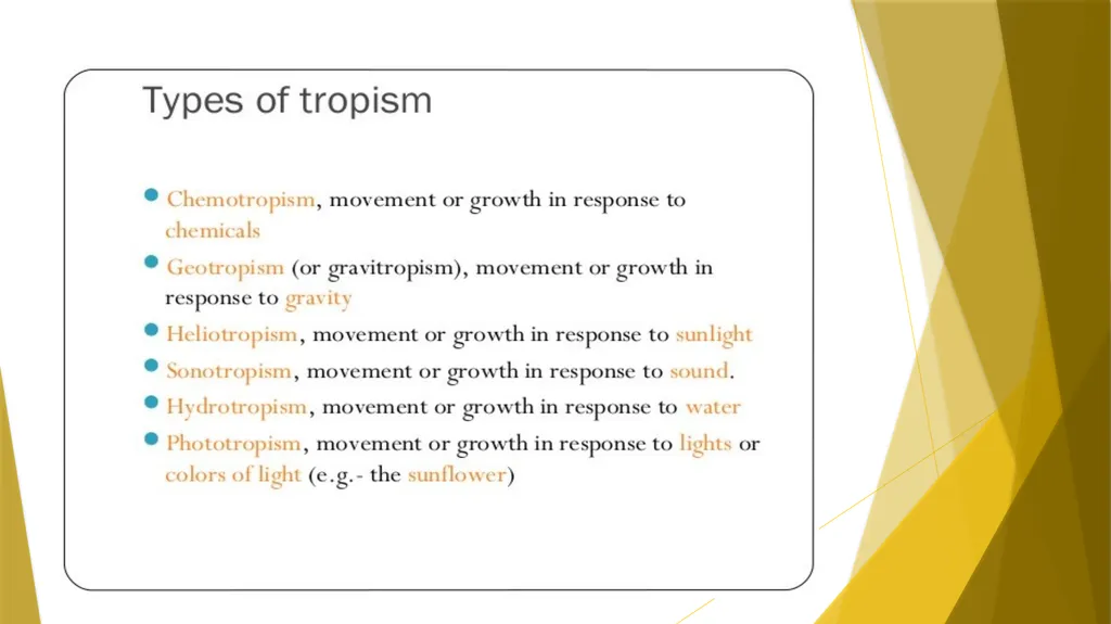 Animal Behavior BY : DR.NILOFER SYED THANKS - slide 8 of 14