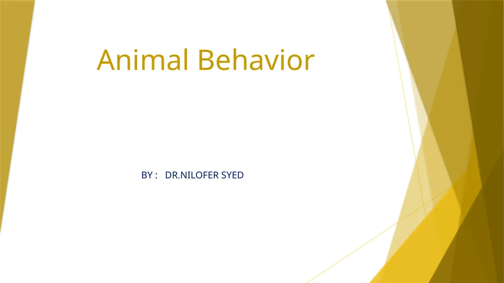 Animal Behavior BY : DR.NILOFER SYED THANKS