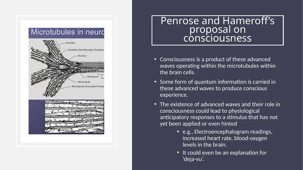 Philosophical Society Members’ 2019 Weekend - slide 9 of 11