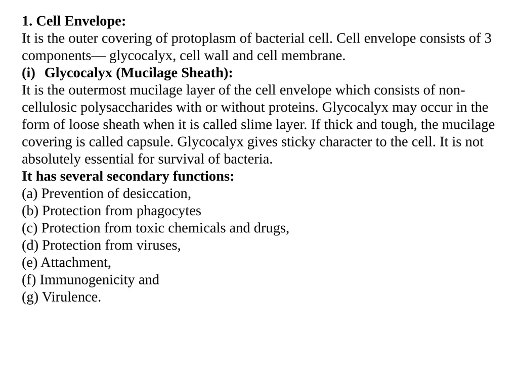 STRUCTURE AND CHEMICAL COMPOSITION OF BACTERIA - slide 5 of 28