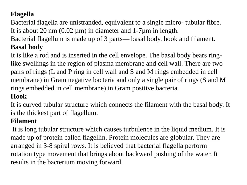 STRUCTURE AND CHEMICAL COMPOSITION OF BACTERIA - slide 26 of 28