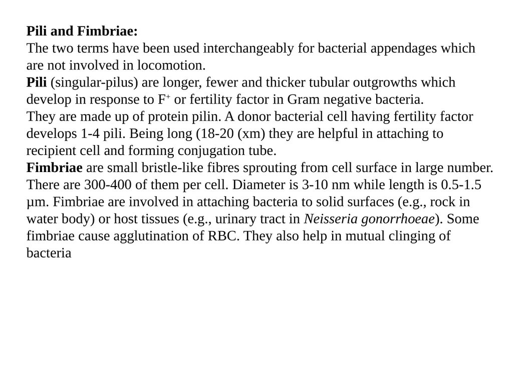 STRUCTURE AND CHEMICAL COMPOSITION OF BACTERIA - slide 28 of 28