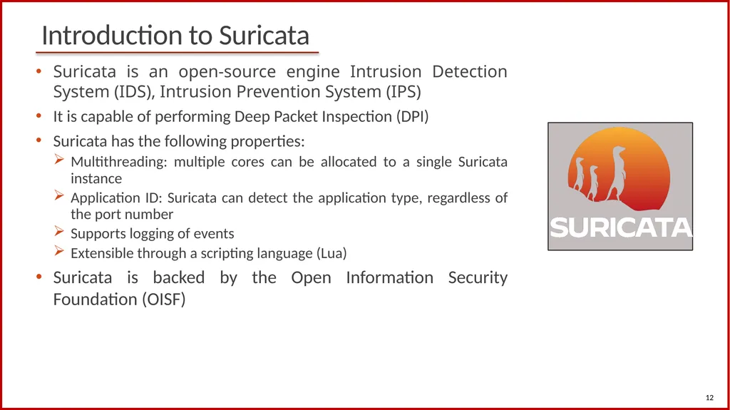 1 Cybersecurity (Security+) and P4 Programmable - slide 12 of 14