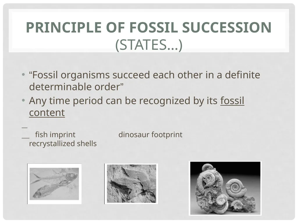 Geological Time Geology needs a Time Scale An - slide 22 of 24