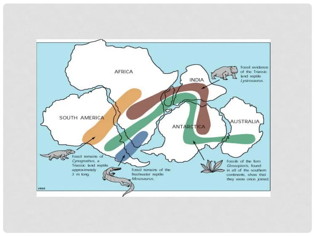 Geological Time Geology needs a Time Scale An - slide 21 of 24