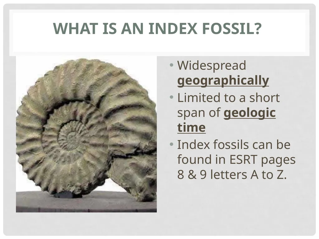 Geological Time Geology needs a Time Scale An - slide 23 of 24