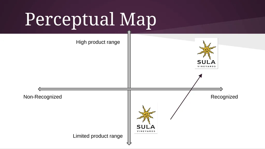Online Audit Sula Vineyards Executive Summary Sula - slide 10 of 17
