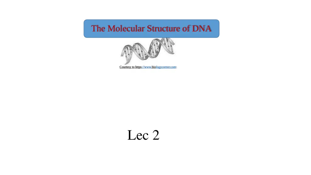 Molecular Biology Biomedical Third Year Students - slide 18 of 23