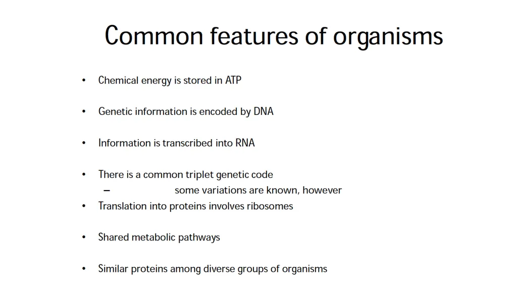 Molecular Biology Biomedical Third Year Students - slide 13 of 23