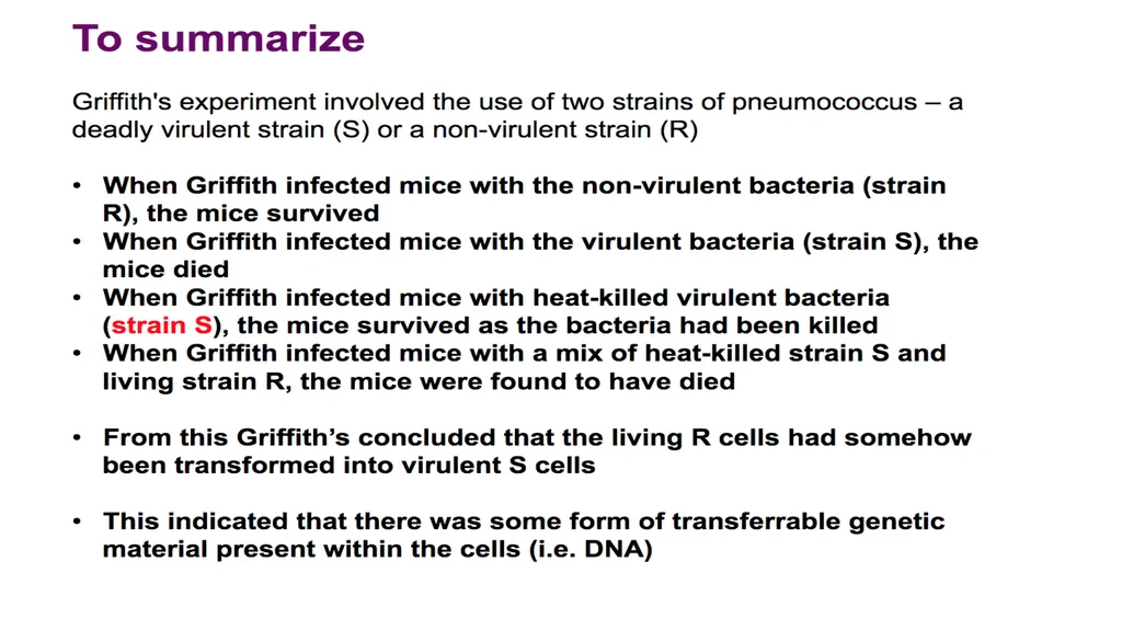 Molecular Biology Biomedical Third Year Students - slide 15 of 23