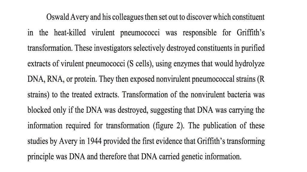 Molecular Biology Biomedical Third Year Students - slide 16 of 23