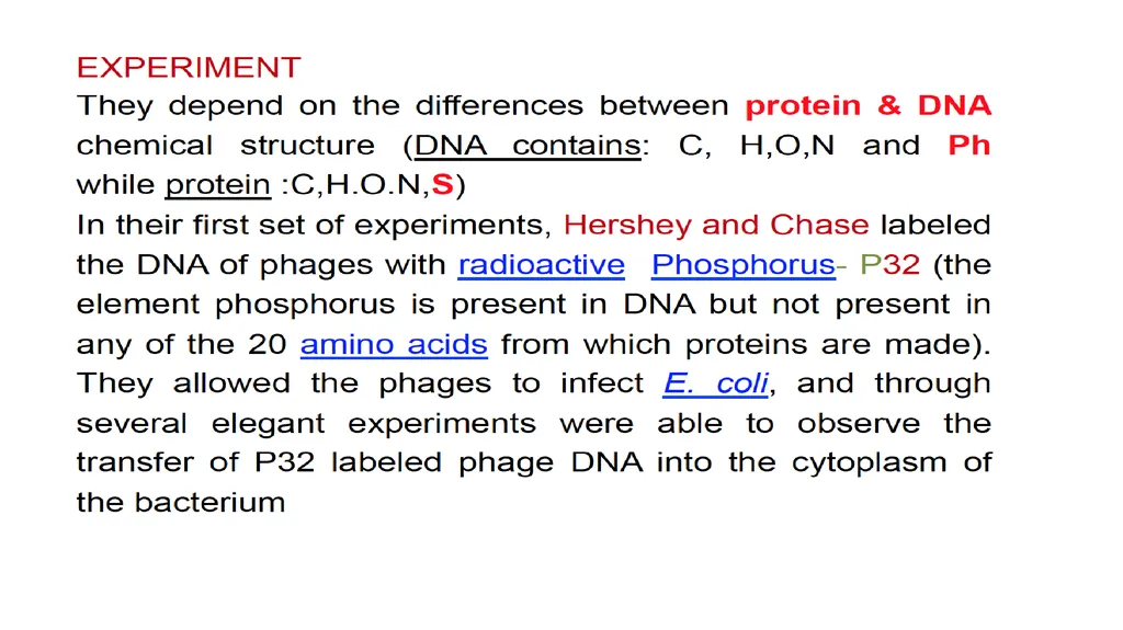 Molecular Biology Biomedical Third Year Students - slide 19 of 23