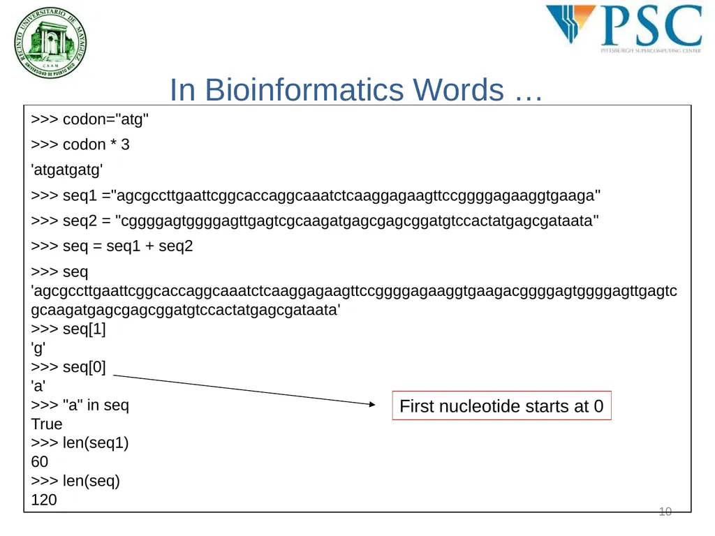 BING 6004: Intro to Computational BioEngineering - slide 10 of 26