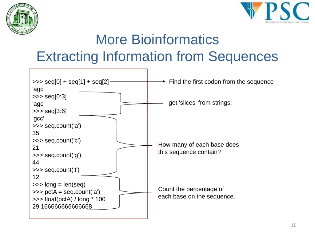 BING 6004: Intro to Computational BioEngineering - slide 11 of 26