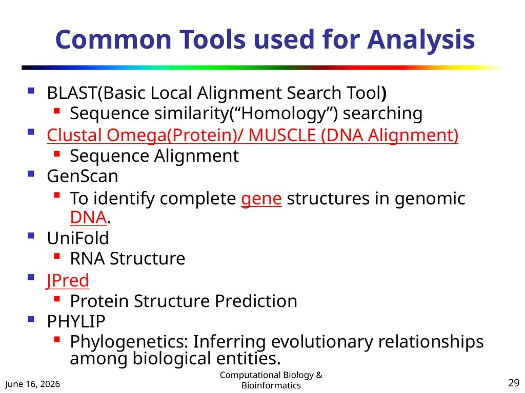 BIOINFORMATICS & COMPUTATIONAL BIOLOGY (An - slide 29 of 36