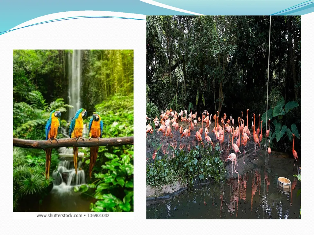 Biodiversity and its conservation Biodiversity - slide 10 of 12