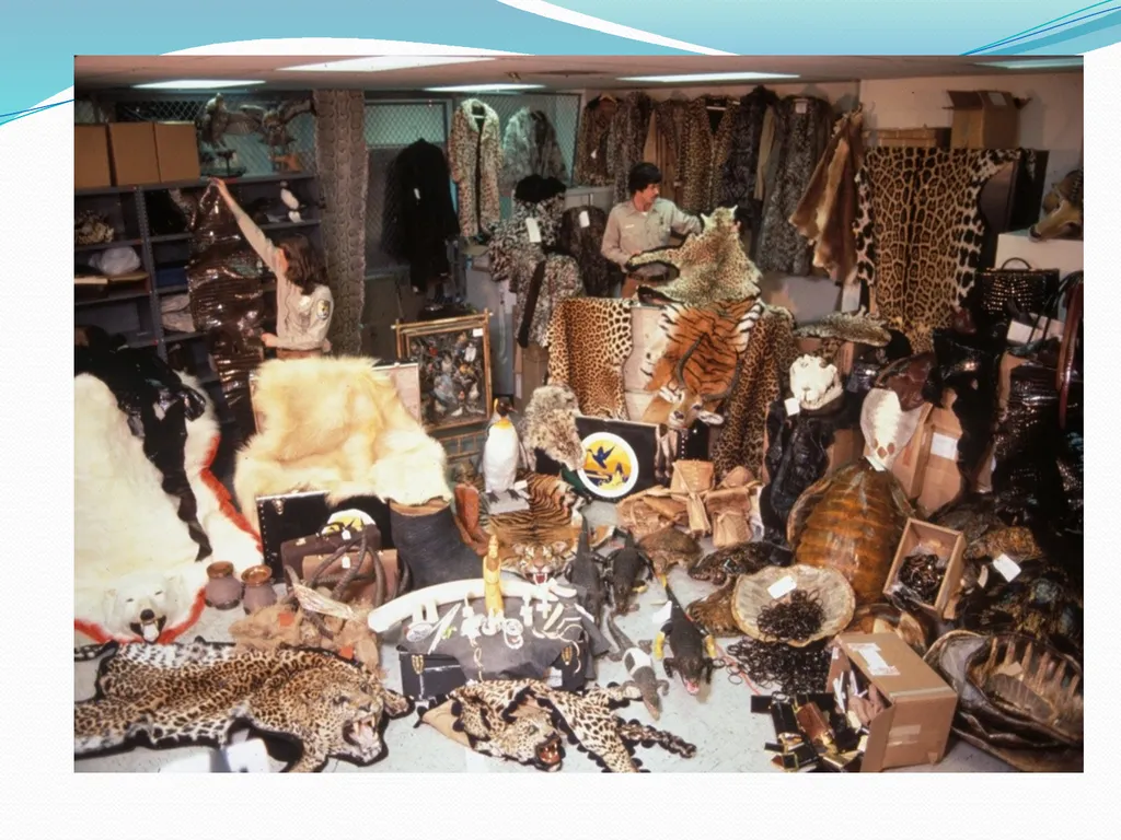 Biodiversity and its conservation Biodiversity - slide 4 of 12
