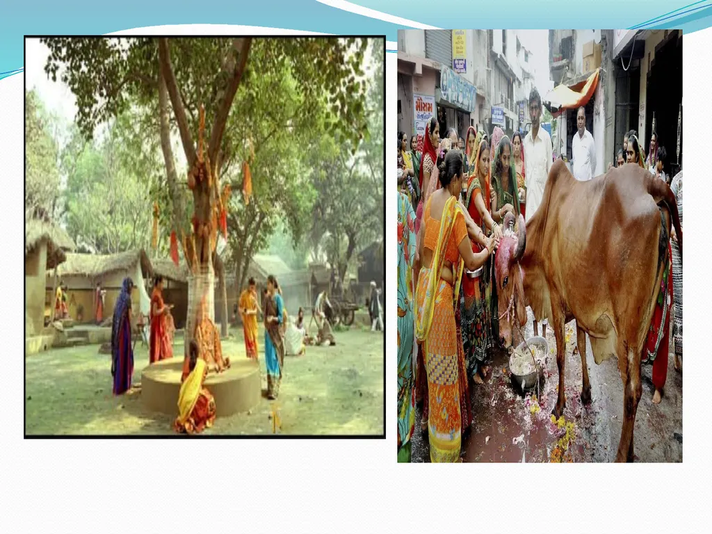 Biodiversity and its conservation Biodiversity - slide 6 of 12