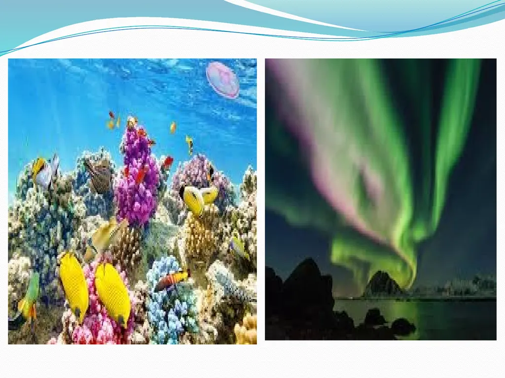 Biodiversity and its conservation Biodiversity - slide 9 of 12