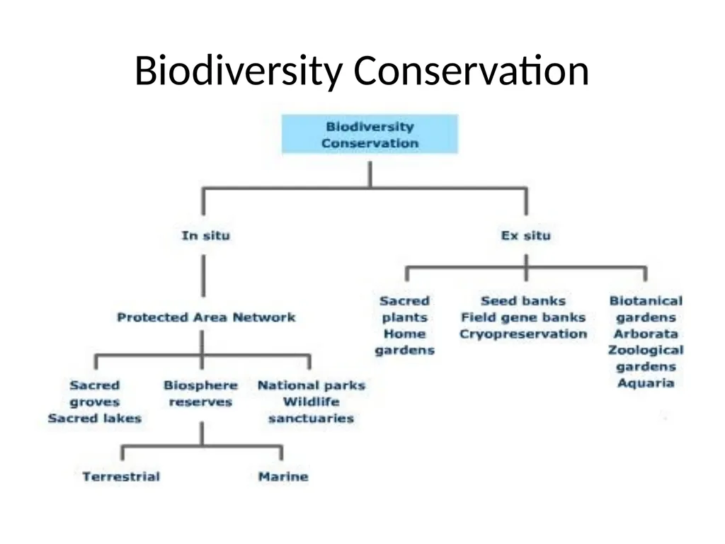 Biodiversity There are over 130000 endangered - slide 13 of 13