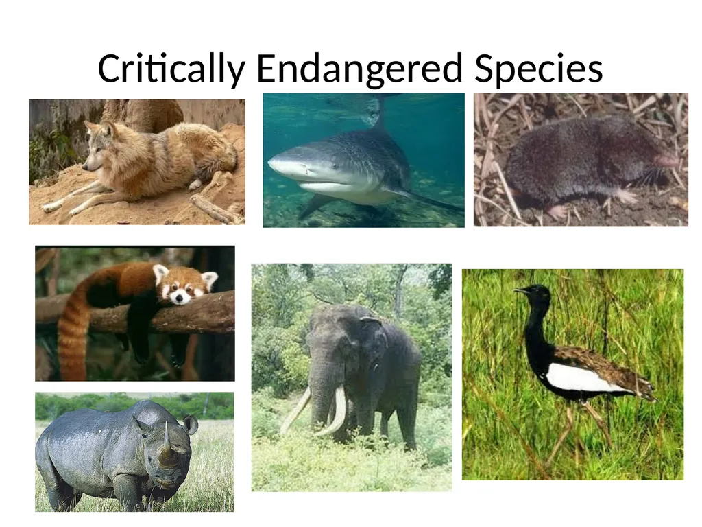 Biodiversity There are over 130000 endangered - slide 3 of 13