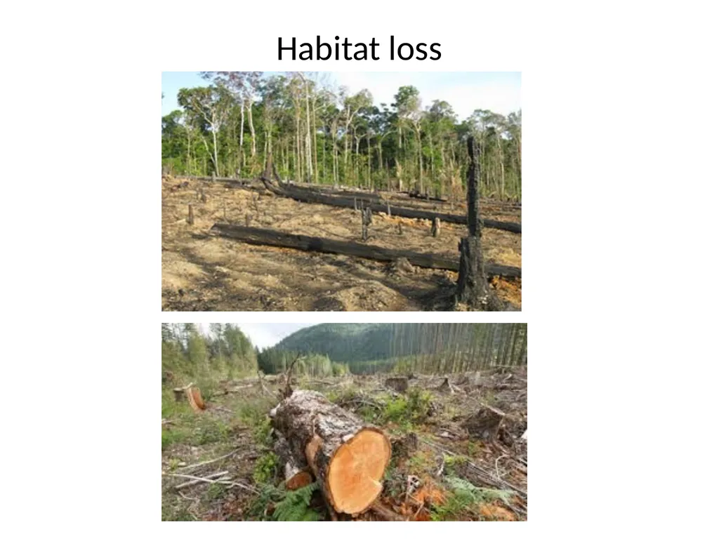 Biodiversity There are over 130000 endangered - slide 9 of 13