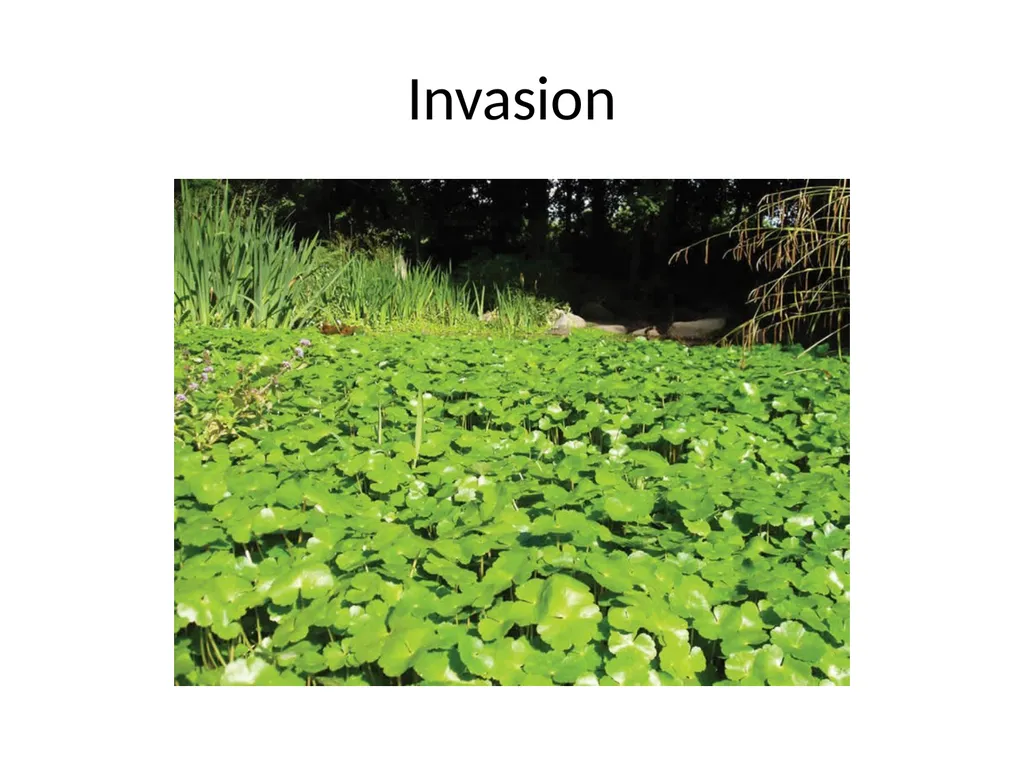 Biodiversity There are over 130000 endangered - slide 12 of 13