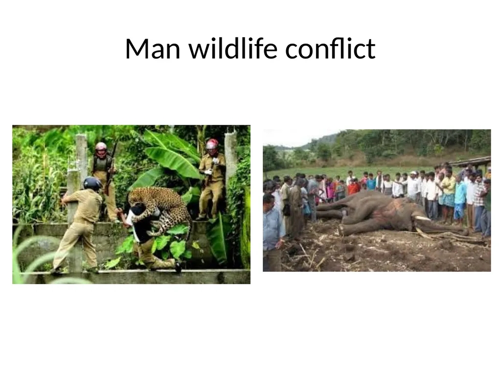 Biodiversity There are over 130000 endangered - slide 11 of 13